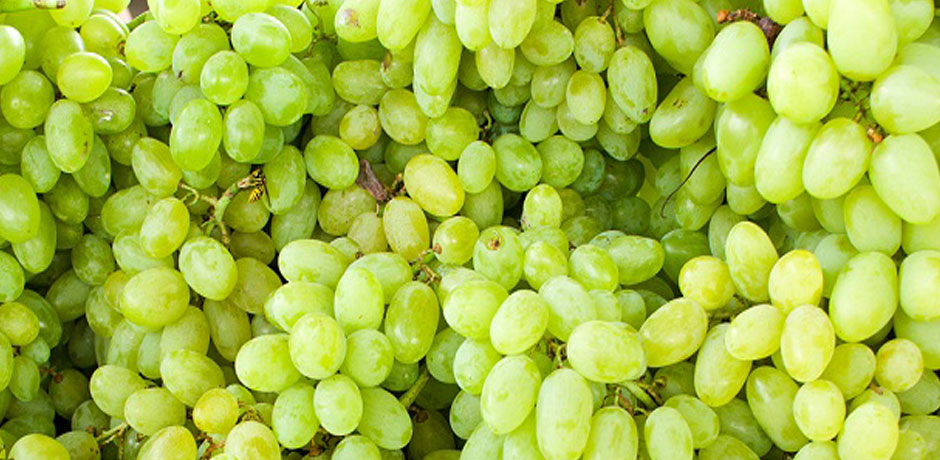 Fresh Grapes